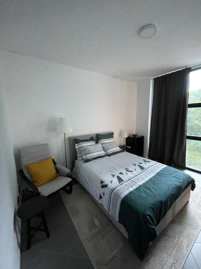 Park Appartement Timişoara